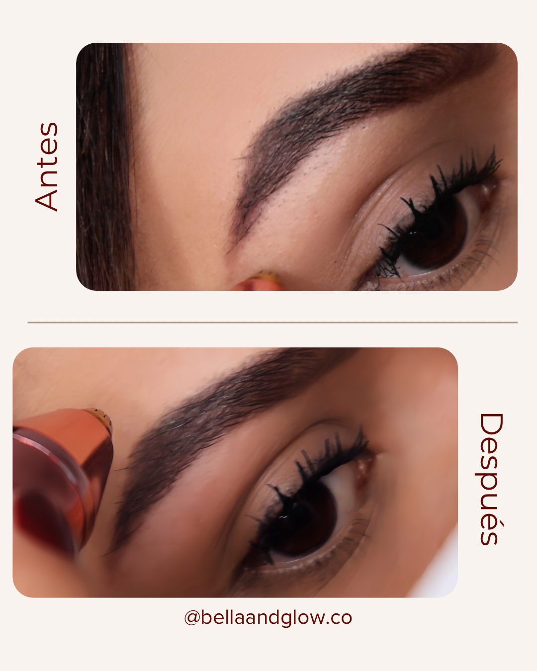 SilkFace - Bella & Glow